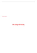 Pleadings Drafting