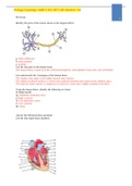 Portage Learning &sol; A&P 2 102 AP 2 All Answers 1-6 Latest