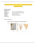 BIOL 1610 Section OL4 Overview of the Skeletal System - 2021 &vert; Overview of the Skeletal System - PASSED