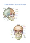 Samenvatting Functionele Anatomie