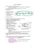 Lecture notes/summary of ENT-21306
