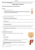 Exam &lpar;elaborations&rpar; BIOS 256 Week 3 Lab &lpar; Review of Mechanical Digestion in Gastrointestinal Tract&rpar;