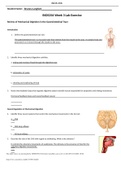 Exam (elaborations) BIOS 256 Week 3 Lab ( Review of Mechanical Digestion in Gastrointestinal Tract)