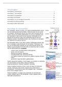 College aantekeningen BMW Weefsels (BMW10705)  Junqueira's Basic Histology, ISBN: 9781260288414