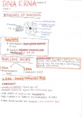 DNA & RNA IEB Gr.12 SUMMARY 
