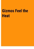 Exam (elaborations) Gizmos Feel the Heat 