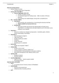 Fundamentals of Nursing chapter 1 notes