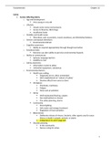 Fundamentals of Nursing chapter 32 study guide