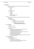 Fundamentals of Nursing chapter 50 notes