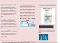 NR 293 Medication Teaching Plan Brochure_ Flomax (Tamsulosin) STUDY GUIDE
