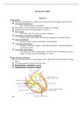 Medical Surgical Nursing cardiac chapter 26 notes