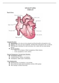 Medical Surgical Nursing cardiac chapter 28 notes