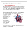 Summary  OWE 2 Anatomie & Fysiologie