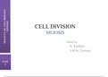  cell division( meiosis)