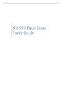 NR 599 Final Exam Study Guide Summer 2020- Chamberlain College of Nursing