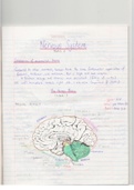 MEDSCI 142 Brain & Spinal Cord Summary Diagrams