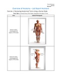 Exam (elaborations) BIOL 230 Portia Montoya Overview of Anatomy – Lab Report Assistant. Overview of Anatomy – Lab Report Assistant Exercise 1: Reviewing Anatomical Terms Using a Human Body Data Table 1. General Areas of the Body using Body Orientation Ter