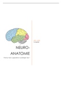 Compleet document neuro-anatomie (alle lessen)