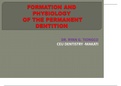 Formation and Physiology of Permanent Dentition