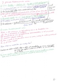 Samenvatting Kennistoets Passend Onderwijs (PABO) - handgeschreven in kleur