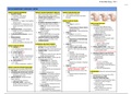 Med Surg II  Nursing Notes&colon; Exam &num;4 Hematology&comma; Oncology&comma; Sepsis&comma; Orthopedics&comma; Burn &lpar;Part 4&sol;4&rpar;