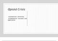 NR 500 Week 6 Assignment: Area of Interest – Opioid Crises