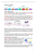 Samenvatting&sol;College uitwerkingen  Ontwerp & Synthese &lpar;2122-S1&rpar;