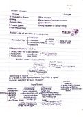 Class Notes for BS Accountancy: Basic Finance