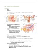 Samenvatting  Histologie - Vrouwelijk voortplantingsstelsel