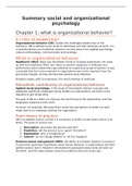 Summary social psychology in organizations Leiden Scandura 