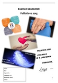 Examens verpleegkundige niveau 4&comma; 2022