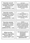 Biology Animal Response Flashcards - OCR whole topic summarised in detailed flashcards with diagrams  PART 1