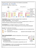 Glycerophospholipids  (check description)
