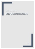 Uitgebreide Samenvatting Endodontologie Tandheelkunde 3e bach KUL&colon; NIEUW S&period; Pedano
