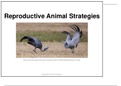 Grade 12 - Reproductive Animal Strategies