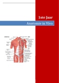 Anatomie in VIVO leerjaar 1