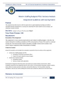 NR 533 Financial Management in Healthcare Organizations Week 4: Staffing Budgets/FTEs/ Variance Analysis Assignment Guidelines with Scoring Rubric