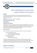 NR 533 Financial Management in Healthcare Organizations Week 4&colon; Staffing Budgets&sol;FTEs&sol; Variance Analysis Assignment Guidelines with Scoring Rubric