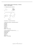 Human Anatomy and Physiology Chapter 2: Basic Chemistry Practice Test