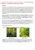 Exam (elaborations) BIOLOGY 1301 Lab #7 - Seedless Vascular Plants.