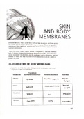 Answer Key Essentials of Anatomy and Physiology by Elaine Marieb Coloring Workbook Chapter 4: Skin and Body Membranes