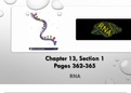 Latest Preview Thumbnail