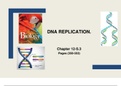 BIOLOGY GRADE 12 DNA REPLICATION DIFFERENCE BETWEEN C CELLS & REPLICATION IN PROKARYOTIC AND EUKARYOTIC