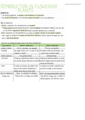 IEB Grade 12 Reproduction in flowering plants notes