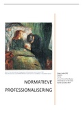 NORMATIEVE PROFESSIONALISERING PL4 Beoordeeld met een cijfer 9. Beoordeling docent bijgevoegd