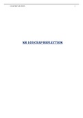 NR 103 CEAP REFLECTION