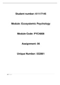 Essay PYC4808 - Final Portfolio  2020(passed with distinction 95%)