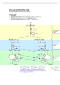 Energetics Worksheet