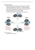 Summary Healthy versus neurodegenerative brain aging