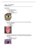 Optometrie Leerjaar 1, Blok C - HC6 Medisch Afweer